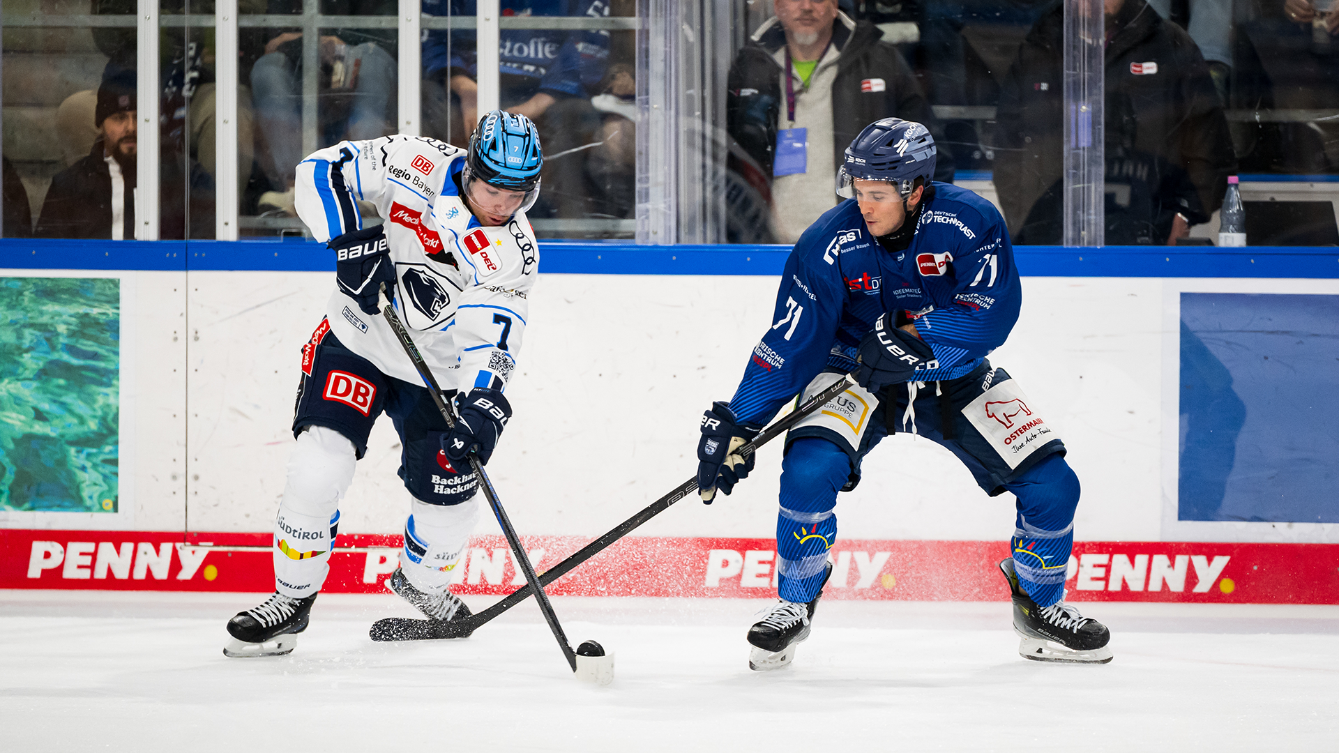 Straubing Tigers gg. ERC Ingolstadt